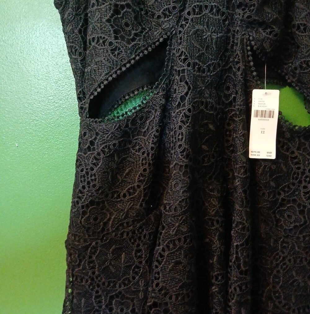 Anthropologie Black Lace Sleeveless Cutout Midi Dress NWT - Picture 5 of 12